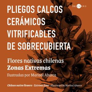 Calco Flores chilenas zonas extremas